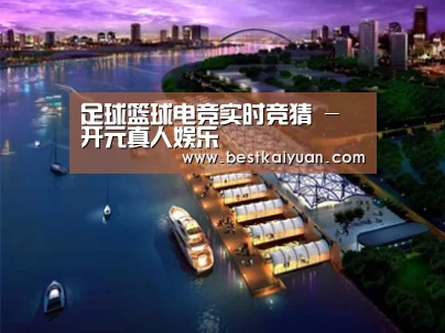 案例展示八