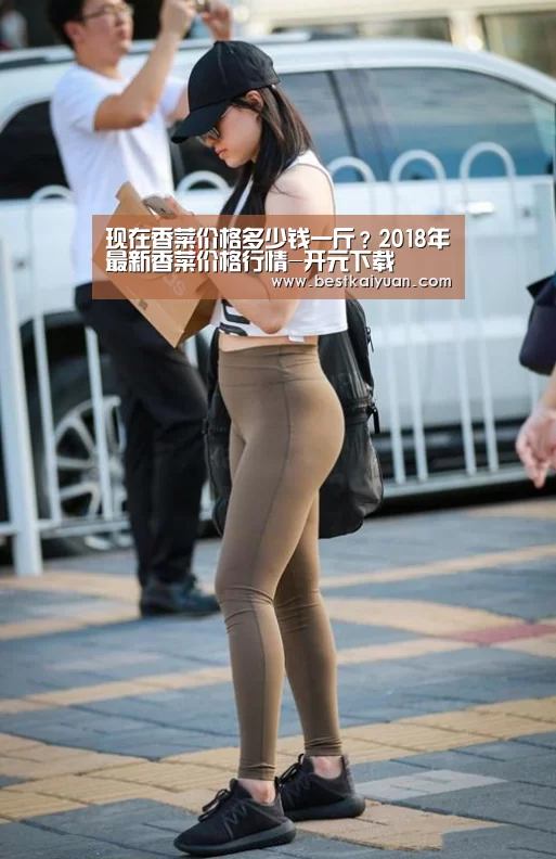现在香菜价格多少钱一斤?2018年最新香菜价格行情-开元下载(图1) 开元直播