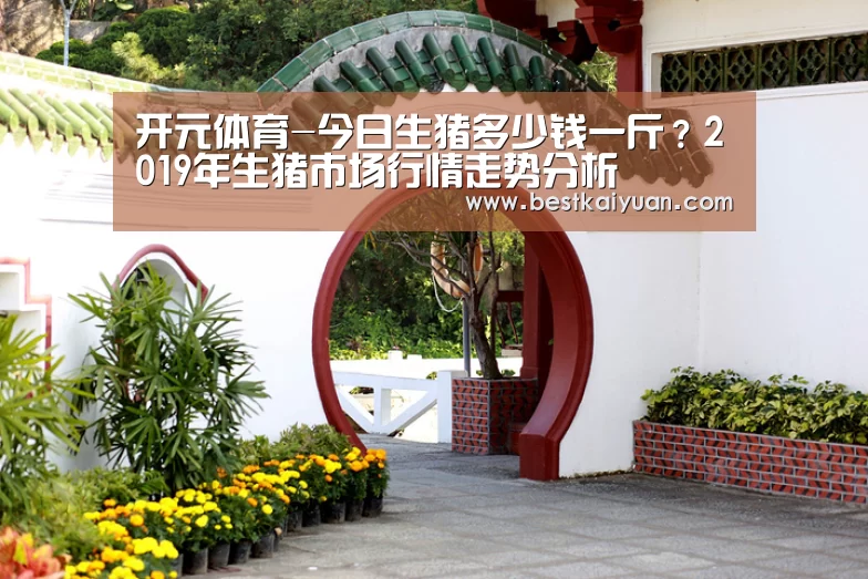 开元下载
