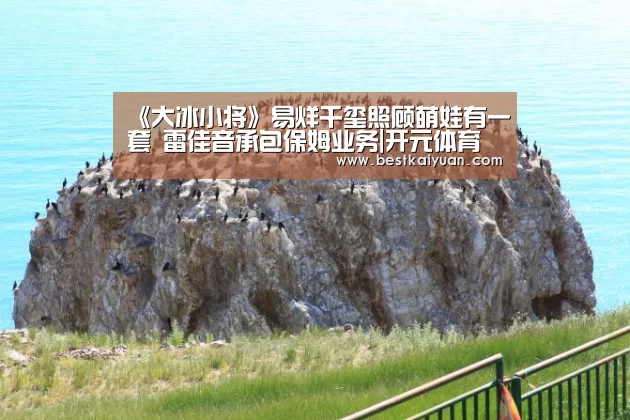 开元直播