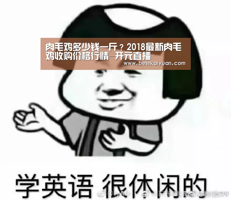 开元登录
