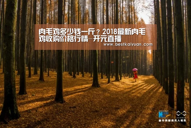 开元直播
