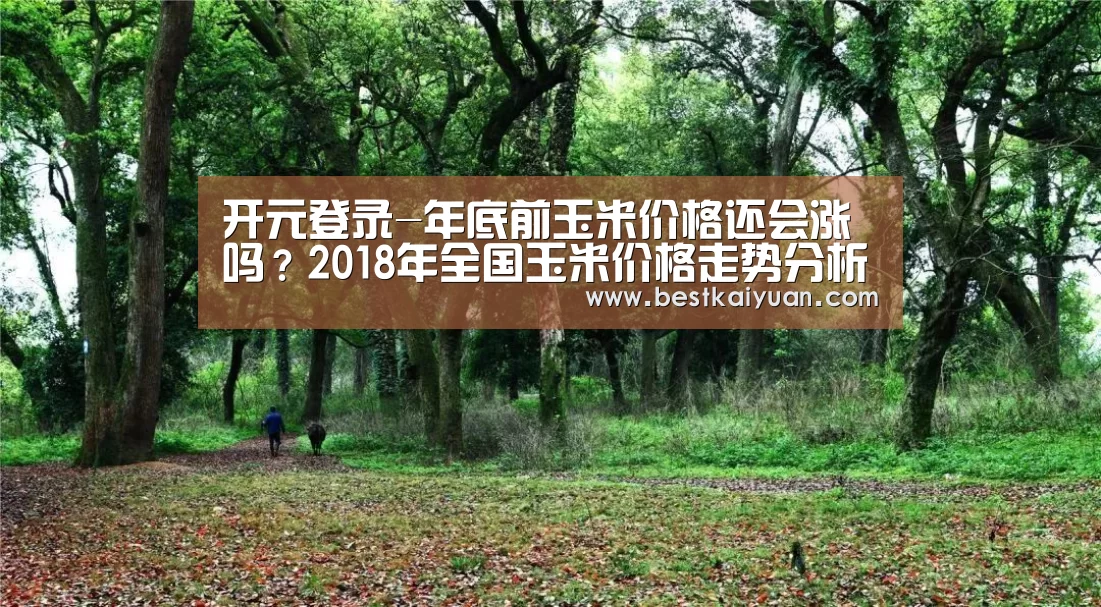 开元登录-年底前玉米价格还会涨吗?2018年全国玉米价格走势分析(图2) 开元体育