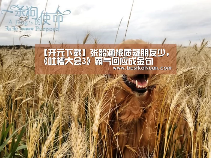 【开元下载】张韶涵被质疑朋友少,《吐槽大会3》霸气回应成金句(图1) 开元下载