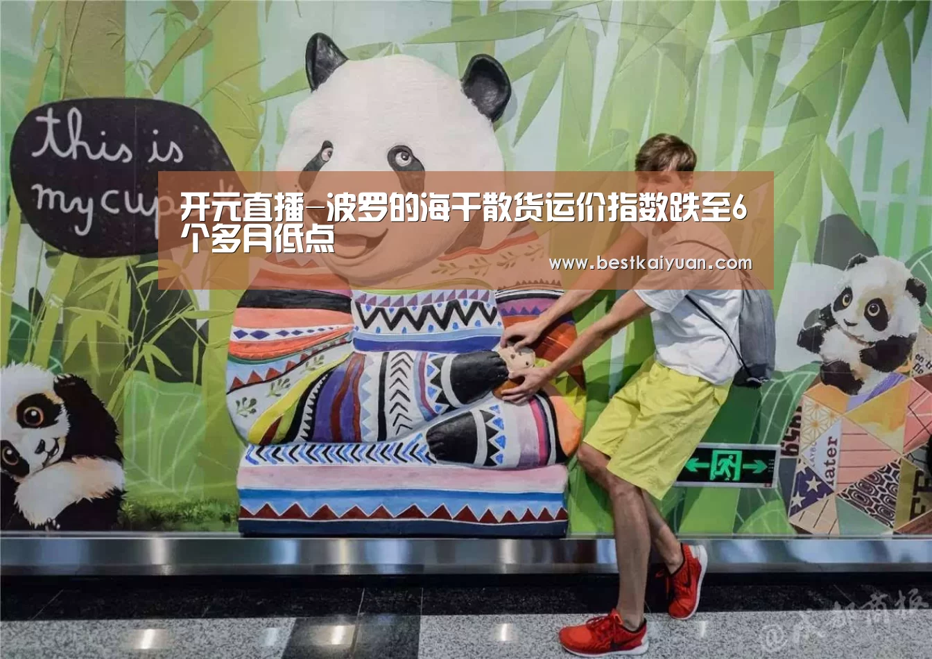 开元直播-波罗的海干散货运价指数跌至6个多月低点(图2) 开元直播