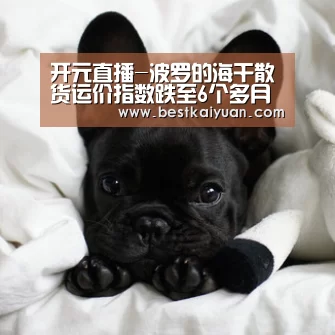 开元直播-波罗的海干散货运价指数跌至6个多月低点(图3) 开元直播