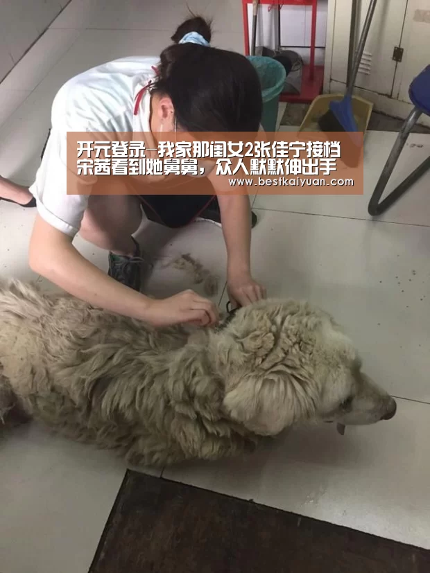 开元登录-我家那闺女2张佳宁接档宋茜看到她舅舅,众人默默伸出手(图4) 开元体育